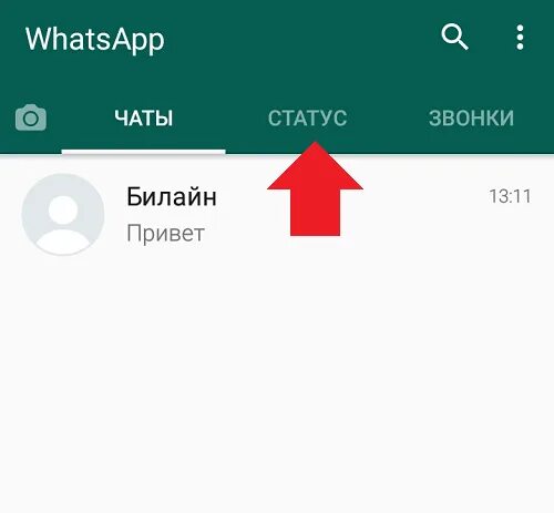 Сколько секунд в статусе ватсап. Статус в ватсап. Как просматривать статусы в Ваис АПЕ.