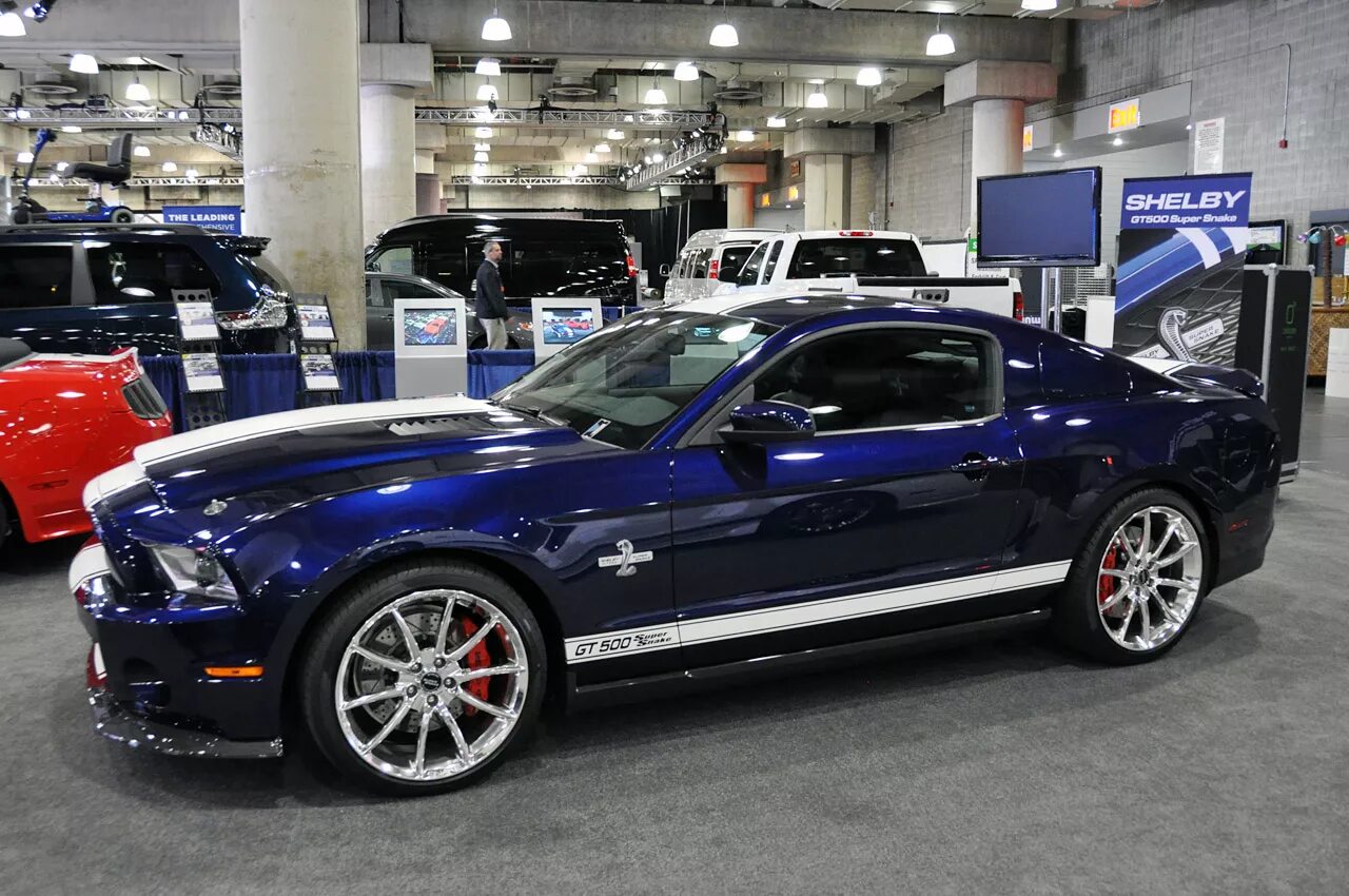Must auto. Ford shelby gt500 super snake 2012. ford mustang shelby gt500 super snake 2011. ford mustang super snake 2012. ford mustang super snake 2005.