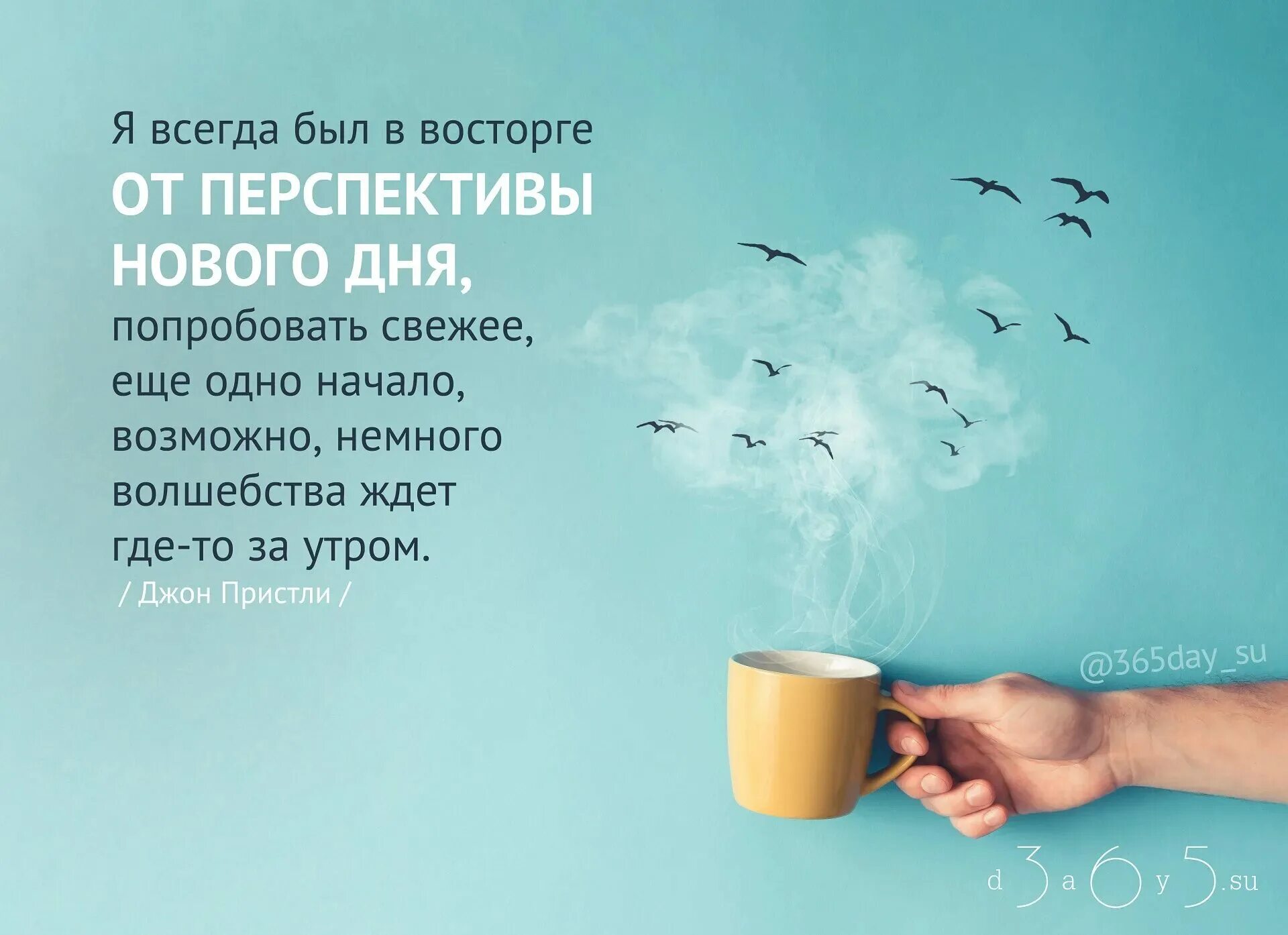 Высказывания о понимании. Дополни фразу обо мне. Как называется выражение + 5. Смешные высказывания. Всякие выражение.