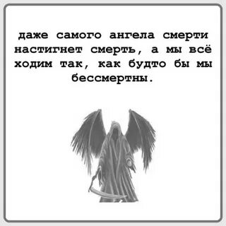 В шумном холме ангелы умирают пословица