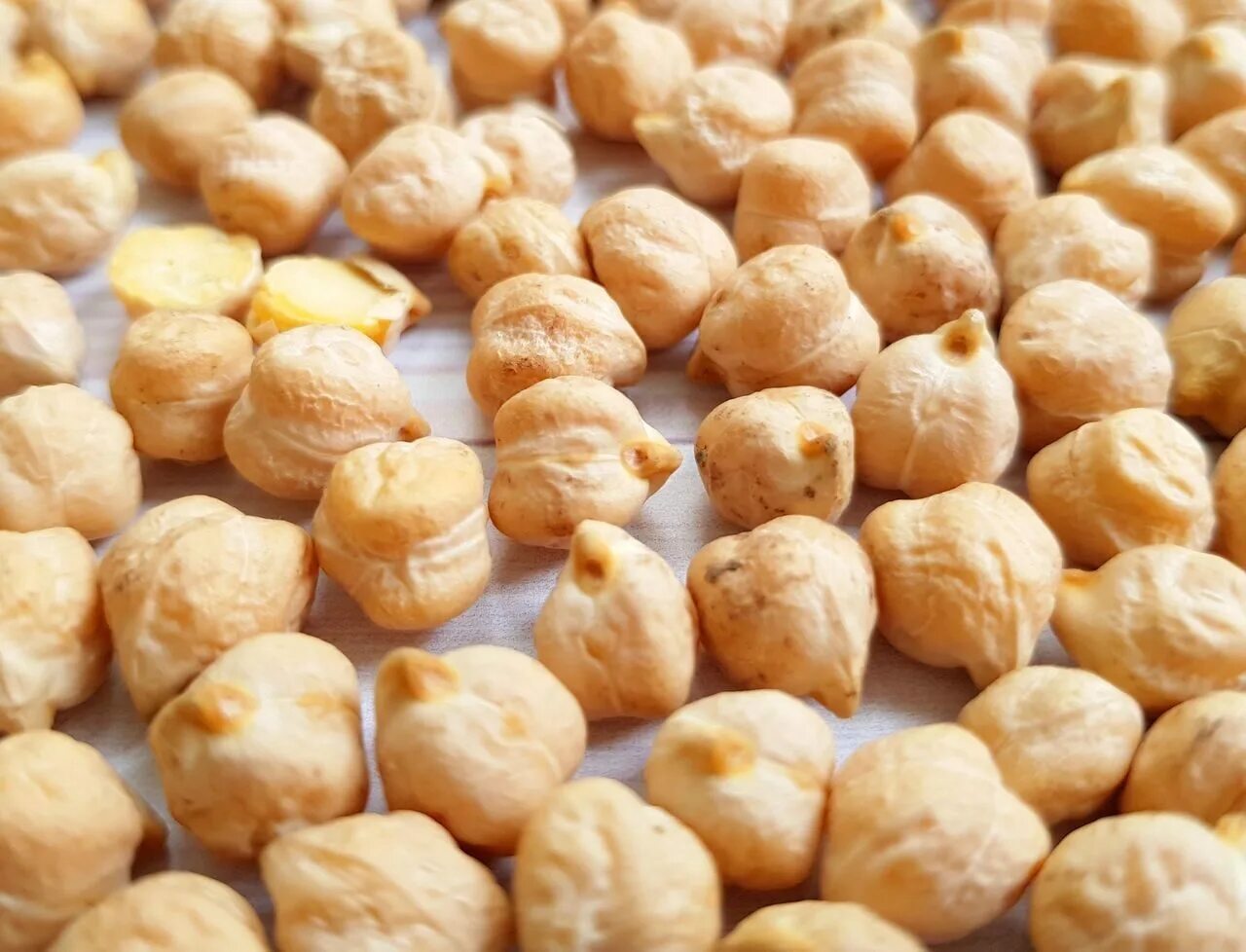 Нут 100 грамм. Нут (турецкий горох). нут chickpeas. нут индия. нут цолода.
