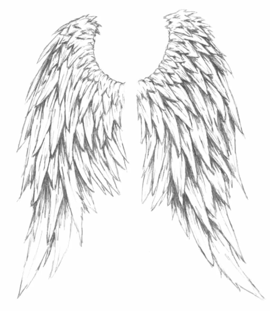Крылья эскиз. Крылья ангела. Эскизы татуировок Крылья. Тату Крылья на спине эскиз. Крыло ангела читать