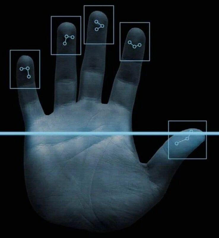 Hand recognition