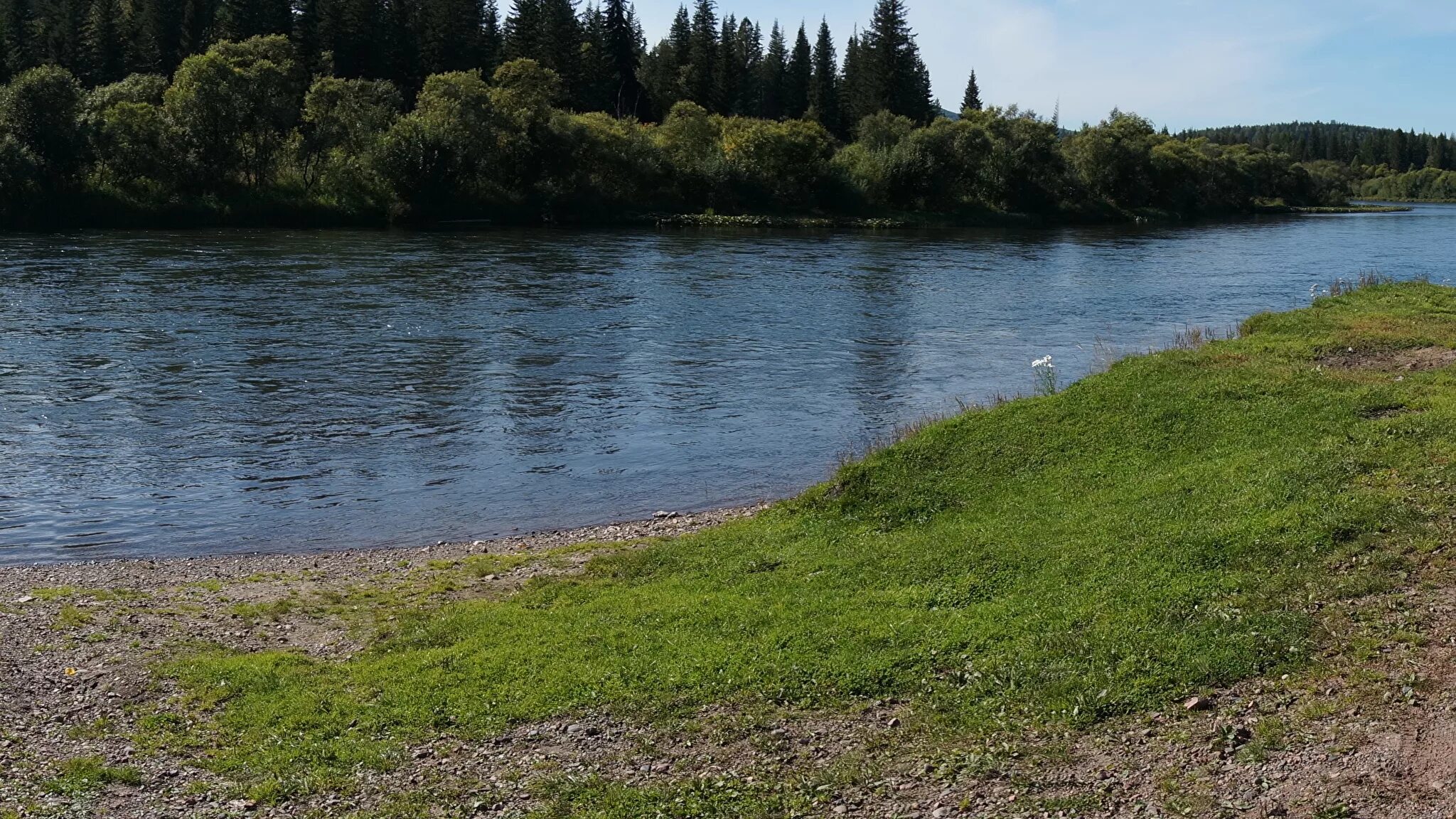 Савино вода. Река малая Пудица Тверская область. Берег реки. Небольшая речка. Маленькая река.