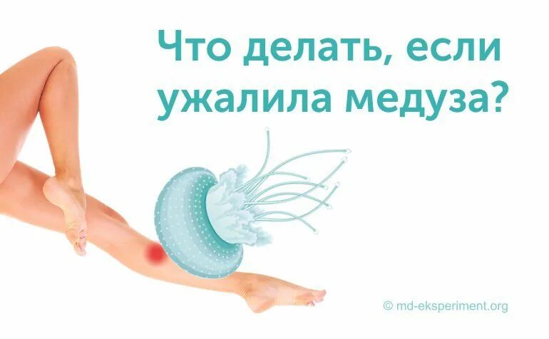 Медузы первая помощь. Что делать при укусе медузы. что делать если ужалила медуза.