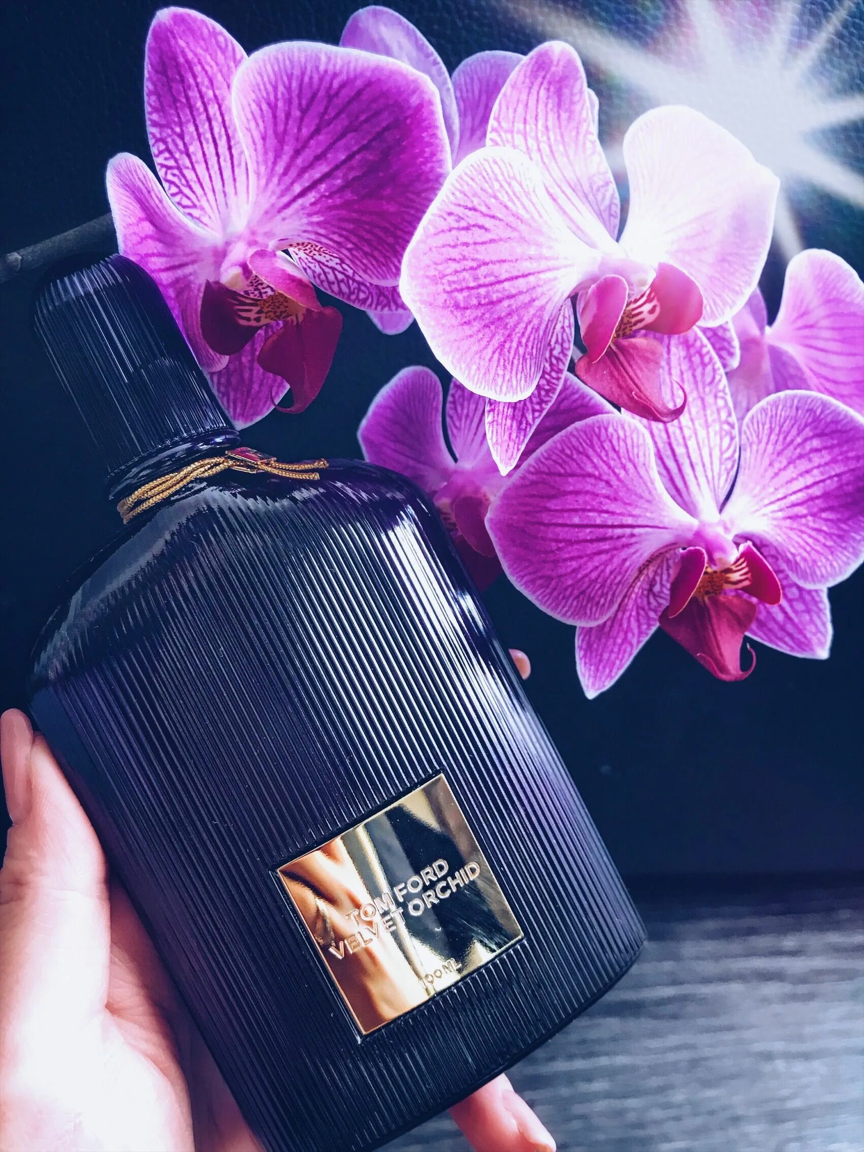 Том Форд духи Black Orchid. Tom Ford Velvet Orchid. Aрлидэя аромат. Орхидея аромат.