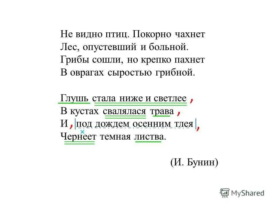 Бунин стих птица. Стих не видно птиц. Стих покорно чахнет лес опустевший и больной. Не видно птиц покорно чахнет. Не видно птиц.