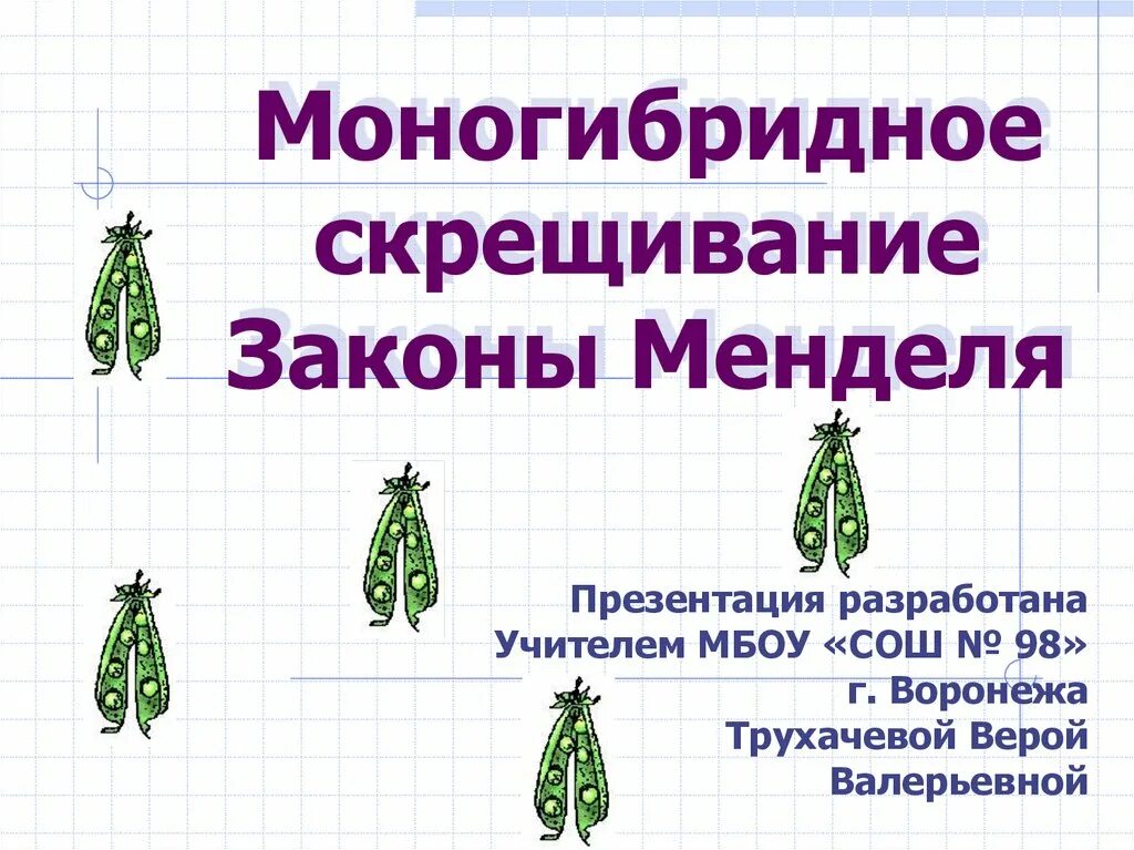 Моногибридное скрещивание Мендель. Моногибридное скрещивание законы Менделя. Моногибридное скрещивание первый опыт Менделя. Моногибридное скрещивание 1 закон Менделя.