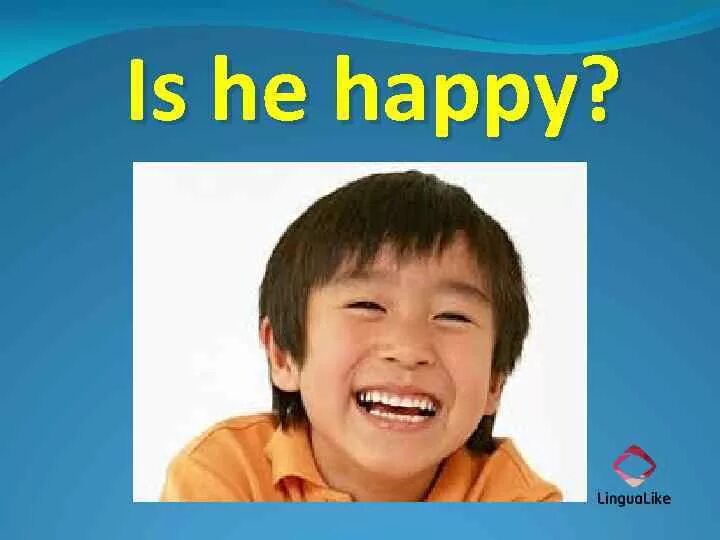 He was happy because. He's Happy. He is Happy. He's not Happy. He one Happy.