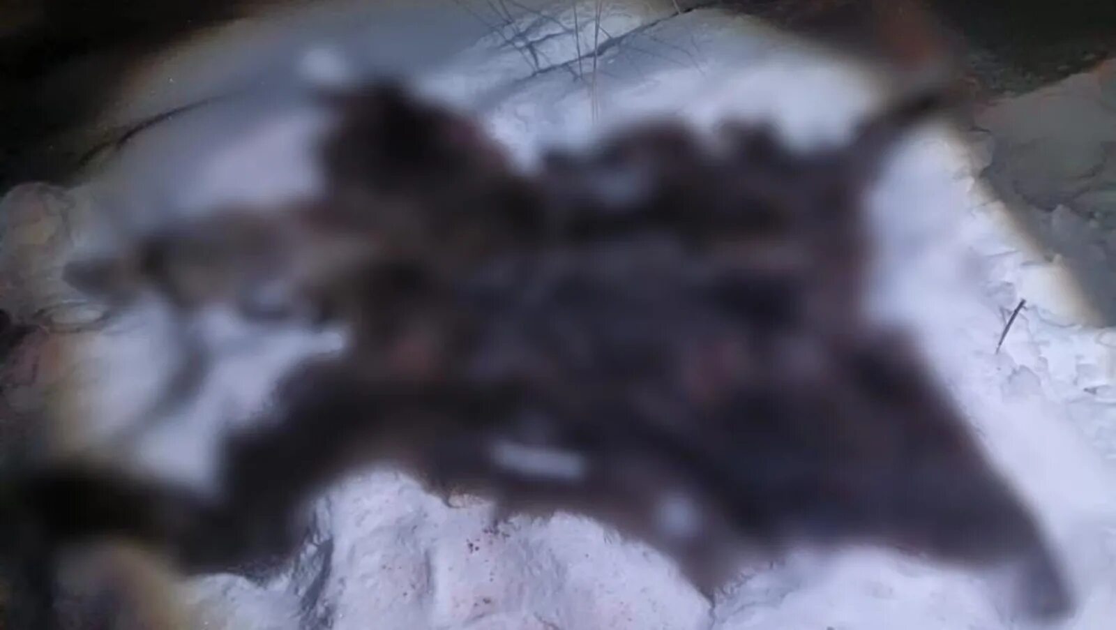 Кого судят в башкирии