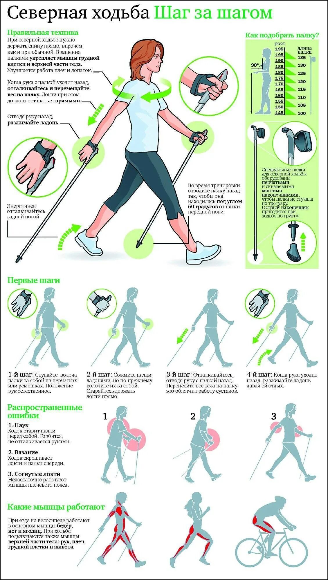 Облегчить ходьбу. Скандинавская ходьба с палками техника ходьбы. Правила ходьбы со скандинавскими палками для начинающих. Техника скандинавской ходьбы для начинающих с палками. Северная ходьба с палками техника ходьбы для пожилых людей.