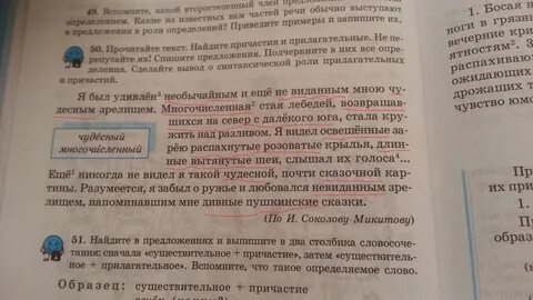 Выпишите все видимые