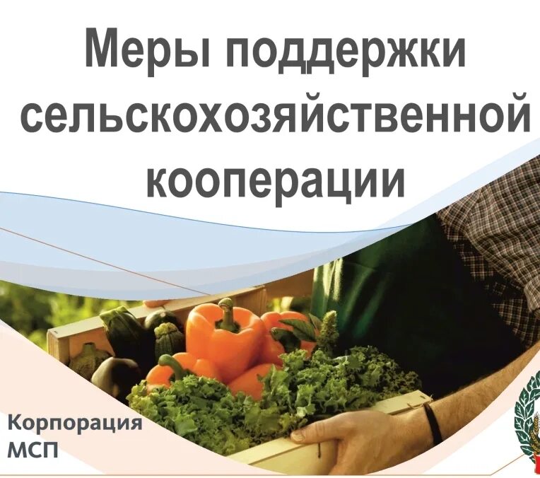 Поддержка кооперации. Сельскохозяйственный кооператив. сельскохозяйственный потребительский кооператив. сельскохозяйственная кооперация. поддержка сельской кооперации.