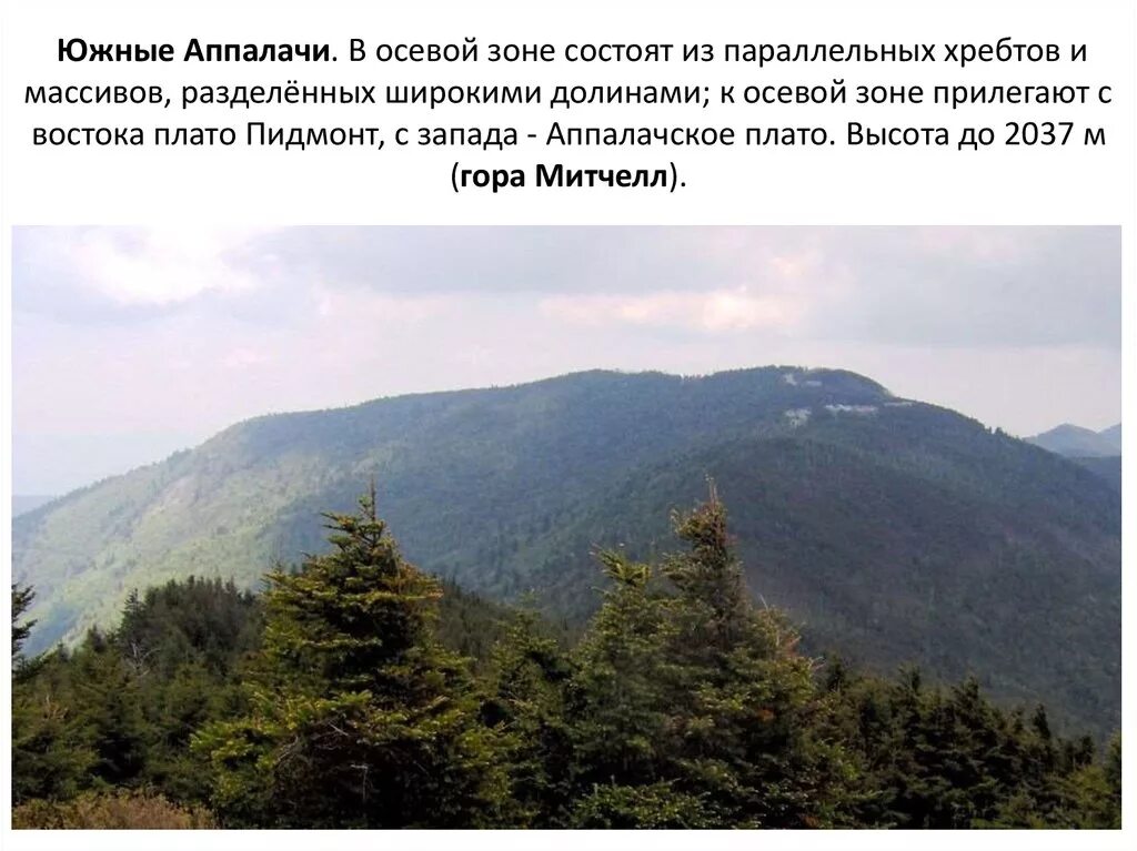 Высшая точка гор Аппалачи. Наивысшая точка гор Аппалачи. Аппалачи самая высокая точка. Абсолютная высота Аппалачи.