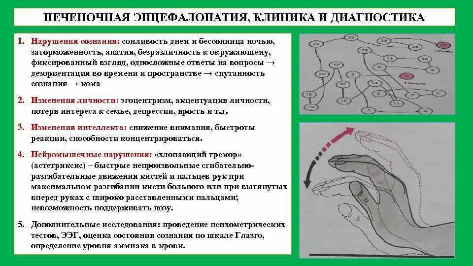 Стадии печеночной энцефалопатии. Синдром печеночной энцефалопатии. Синдром печеночной энцефалопатии клиника. Диагностические критерии синдрома печеночной энцефалопатии. Наиболее ранний симптом печеночной энцефалопатии.