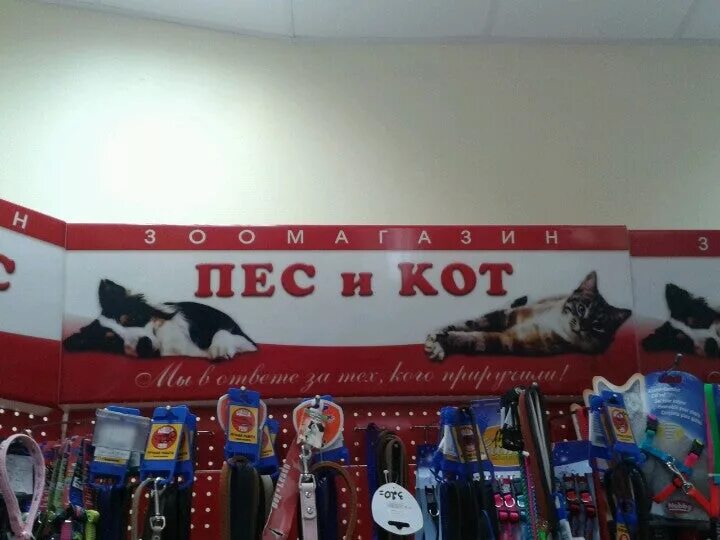 кот и пёс зоомагазин. кот и пес магазин зоотоваров москва. собака в зоомагазине. кот и пёс зоомагазин. магазин кот и пес.