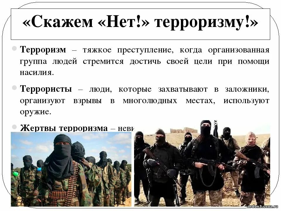 Террористы информация