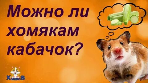 Можно хомяку тыкву