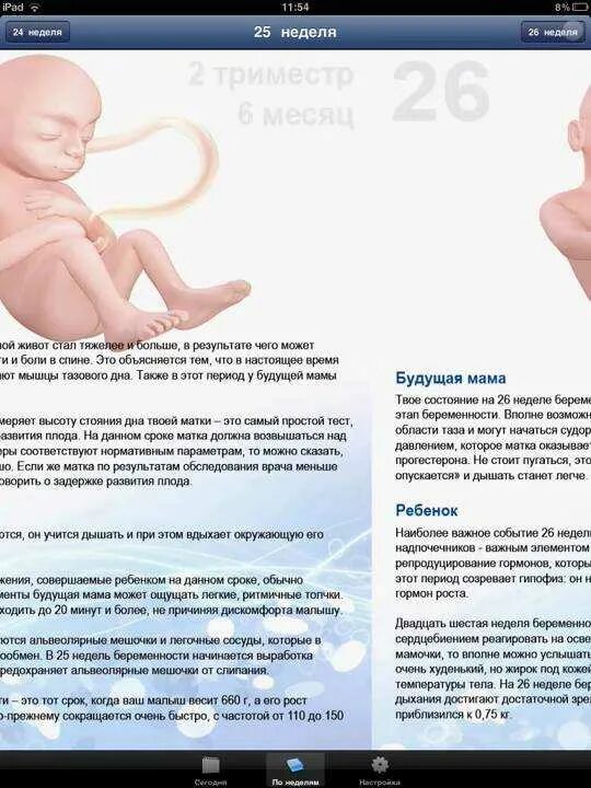 Во сколько недель бьется сердце у ребенка. Чсс плода на 12 неделе беременности. сердцебиение плода по неделям. сердцебиение плода мальчика и девочки. пол ребёнка по сердцебиению.