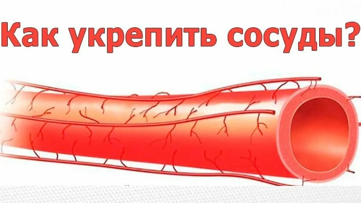 Стенка здоровой сосуды. Укрепление кровеносных сосудов. Укрепление сосудистой стенки.