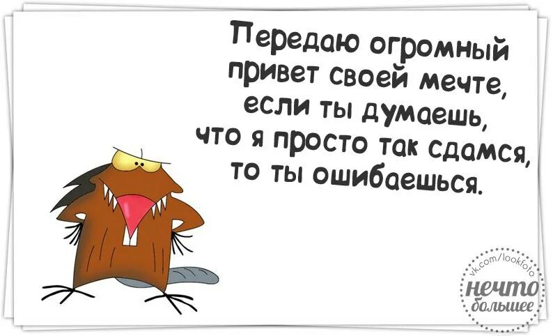 Передай привет через станцию. Передаю привет своей мечте. Передавай привет. Передаю привет всем. Пользуясь случаем передаю привет всем кто ещё без привета.