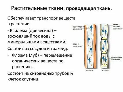 Какая ткань транспортная