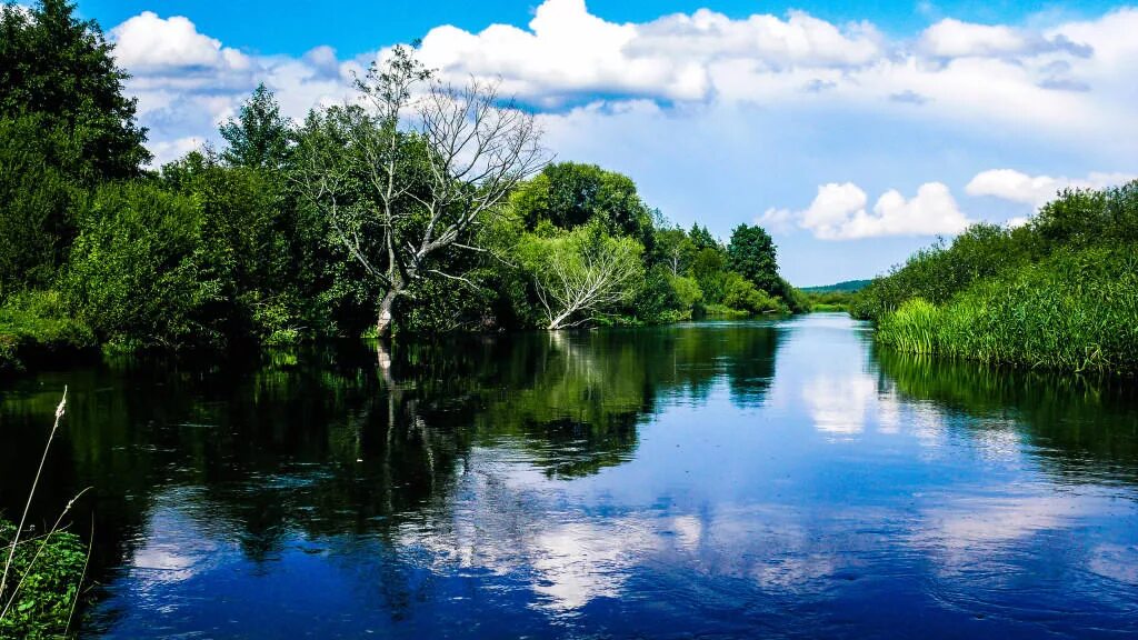 Синеокая. Синеокая. Беларусь синеокая. Синеокая россия. Картинки беларусь синеокая.