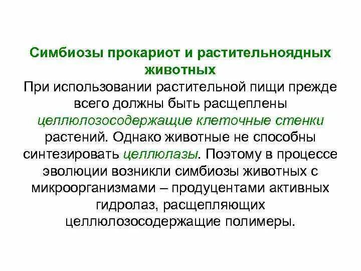 Пример симбиоза бактерий. Симбиотические бактерии животных. Симбиоз бактерий и животных. Взаимодействие животных и бактерий. Симбиотические бактерии у коровы.