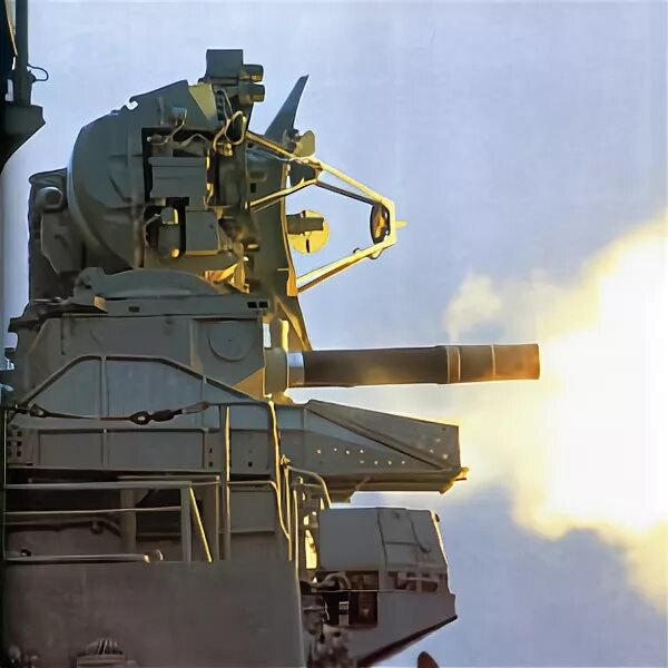 Каштан ciws. Каштан ciws. 3м87 «кортик». Зрак каштан-м. Комплекс каштан.