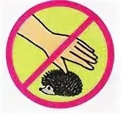 Знак не ловить животных. Знак не трогать лесных животных. Знак не трогайте гнезда птиц. Не лови диких животных. Ежик запрещен