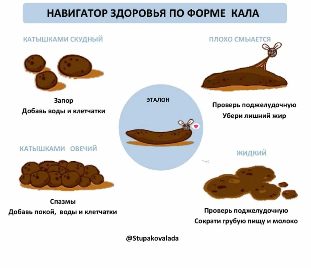 Меня зовут какашка. Нормальный кал. Нормальный вид кала. Кал цилиндрической формы. Форма какашек норма.