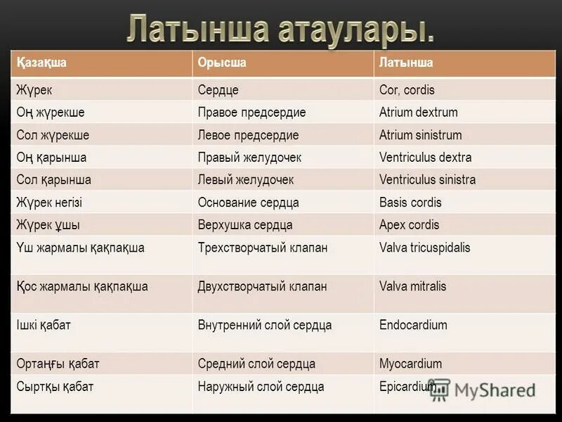 Мен орысша. Көмекші есімдер дегеніміз не. Шылау дегеніміз не. Мен орысша. Сказки казахского народа.