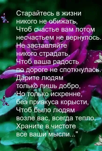 Я старался стихи. Я вас не долюбил не до согрел стих. Есенин заметался пожар голубой стих. Есенин заметался пожар голубой. Стих про дождик все ругают дождик.