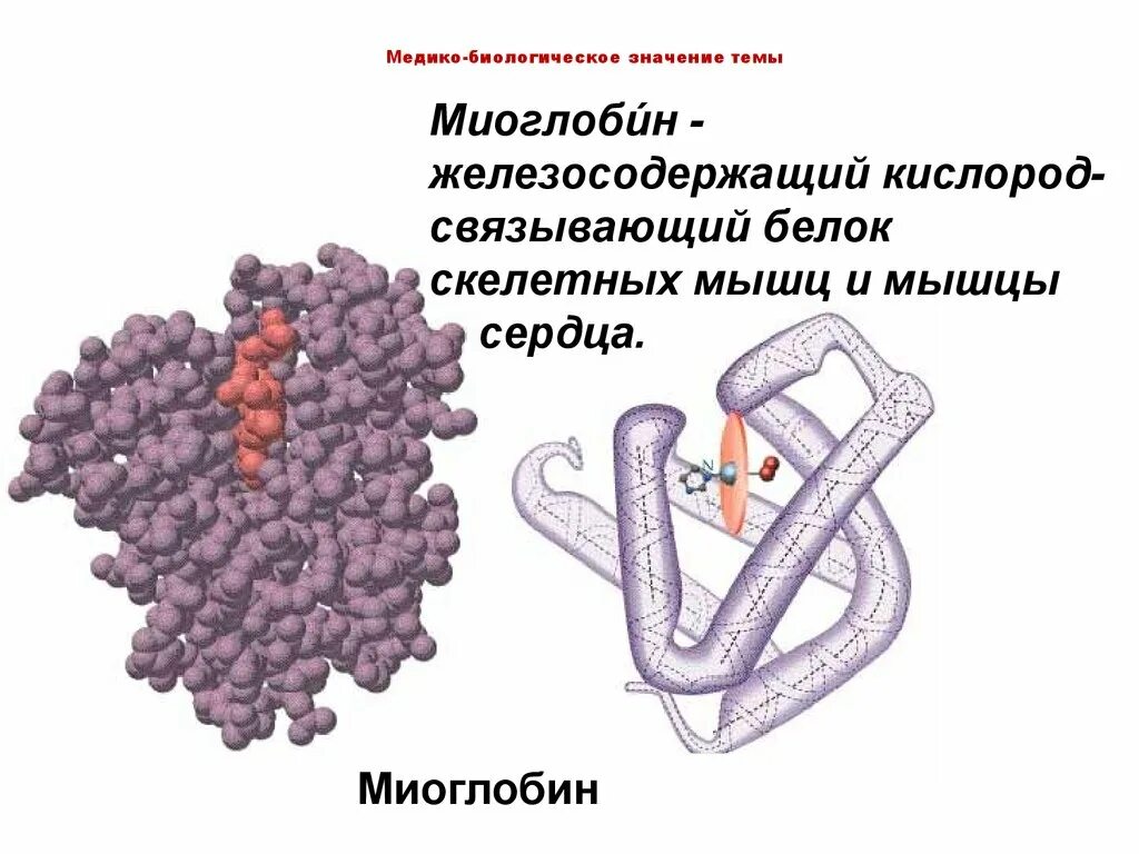 Структура миоглобина и гемоглобина. Строение гемоглобина и миоглобина. Третичная структура миоглобина. Миоглобин структура.