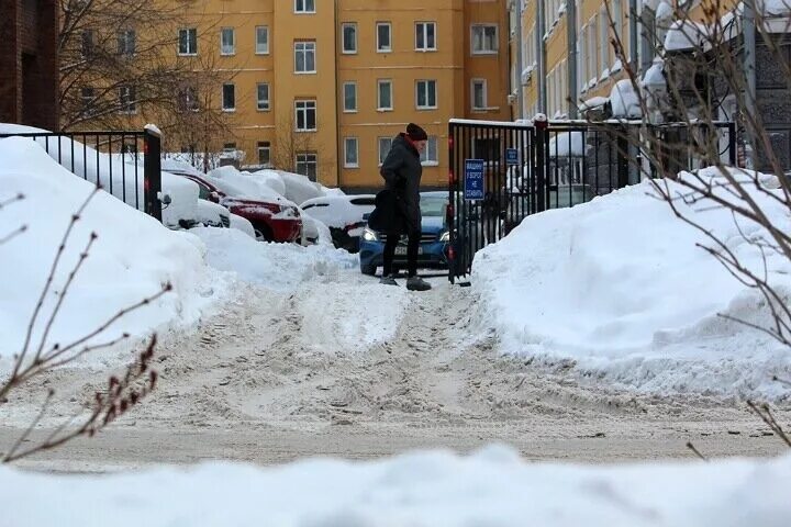 Полматери в сугробы газоны. Много снега в городе. Снег в Новосибирске. Новосибирск много снега. Сугробы в Новосибирске.