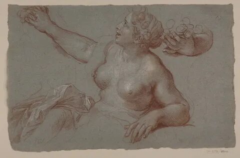 Nº Inventario: D-1390 * Dimensiones: 273 x 425 mm * Técnica: Papel gris ver...