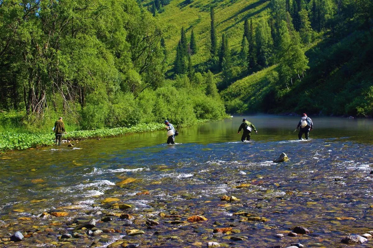 река вброд. переправа вброд. преодоление реки. река широкая березовая в кузнецком алатау. переход реки вброд.