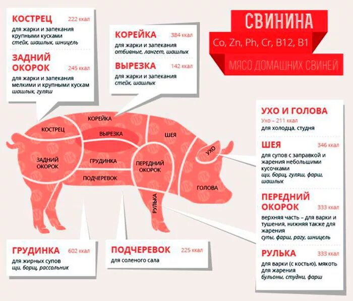 Количество мяса на шашлык. Мясо части туши свиньи. часть мяса для шашлыка из свинины. части тела свиньи для шашлыка. части сатнби для шашлыка.