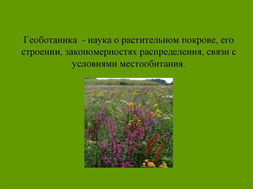 Растительный покров представлен. Геоботаника это наука о. Геоботаника это кратко. Растительный Покров.