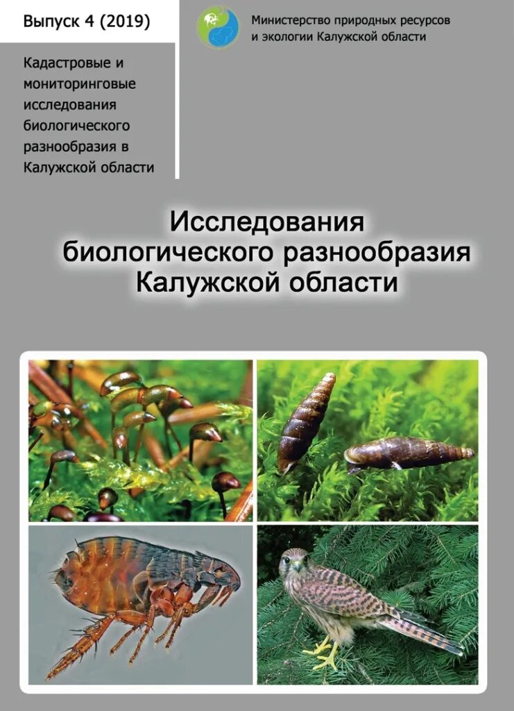 Биоразнообразие в Калужской области. Исследование биоразнообразия. Мониторинг биоразнообразия. Изучение биоразнообразия