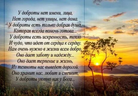 У доброты есть имя