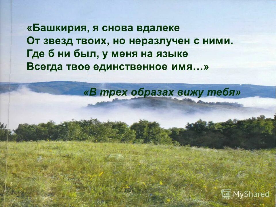 Стихотворение не русский я но россиянин. Стих про Башкортостан. Стихи про Башкирию. Цитаты о Башкирии. Цитаты о Башкортостане.