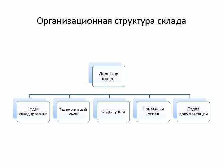 Какие отделы включает