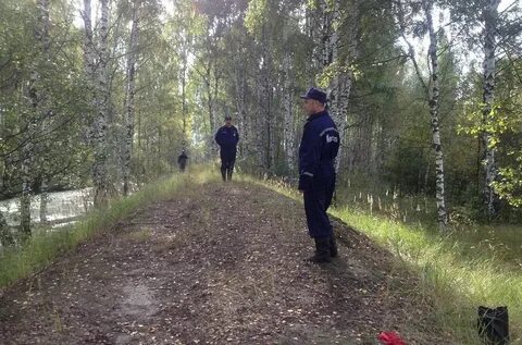 Нашел в лесу 18
