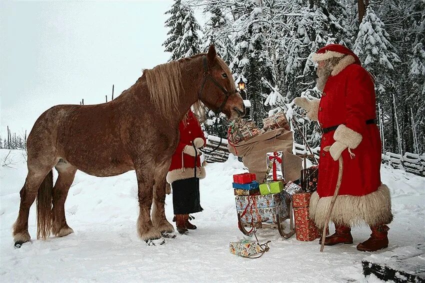 гном юль томтен в швеции. дед мороз в швеции. шведский дед мороз. томтеленд деревня деда мороза в швеции. томтен шведский дед.