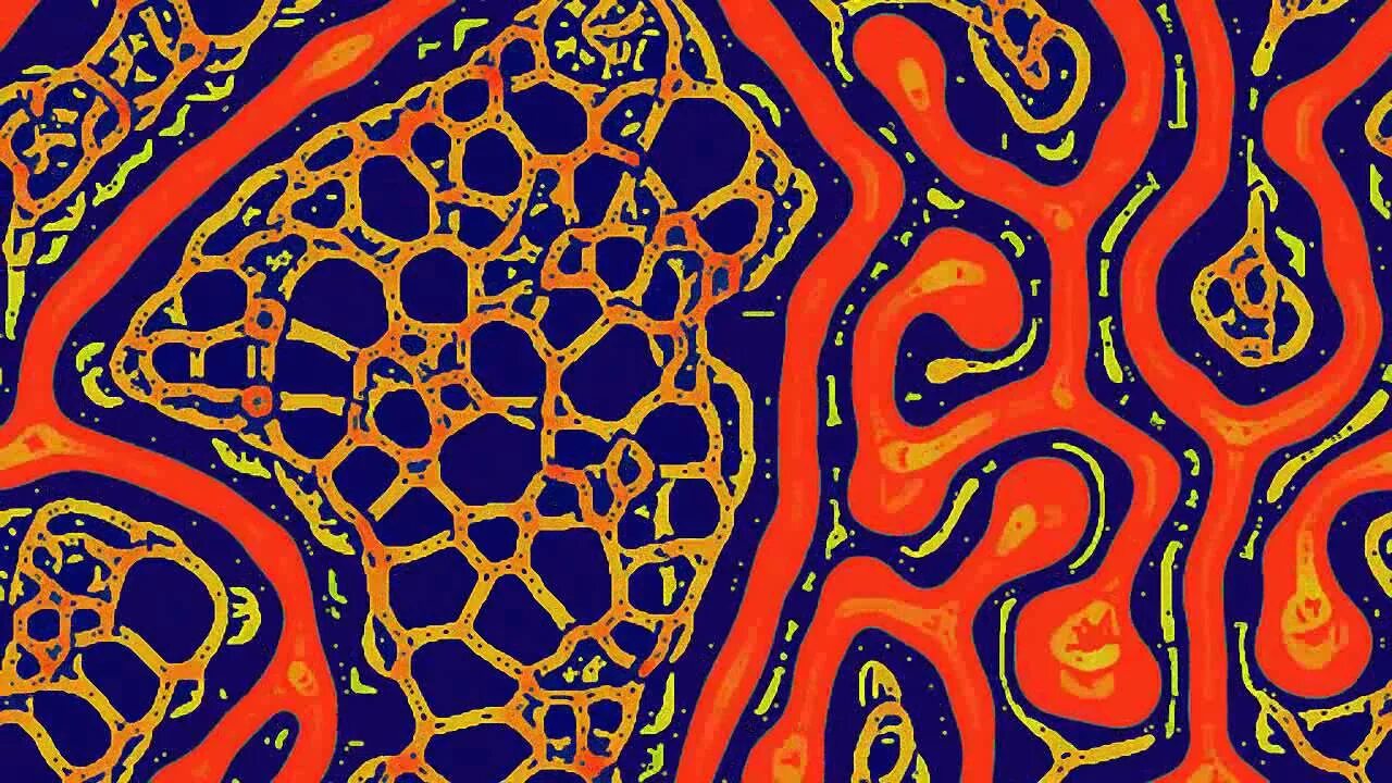 Diffusion photoshop. Reaction diffusion. reaction diffusion pattern in nature. latent diffusion generated images. disco diffusion collab.