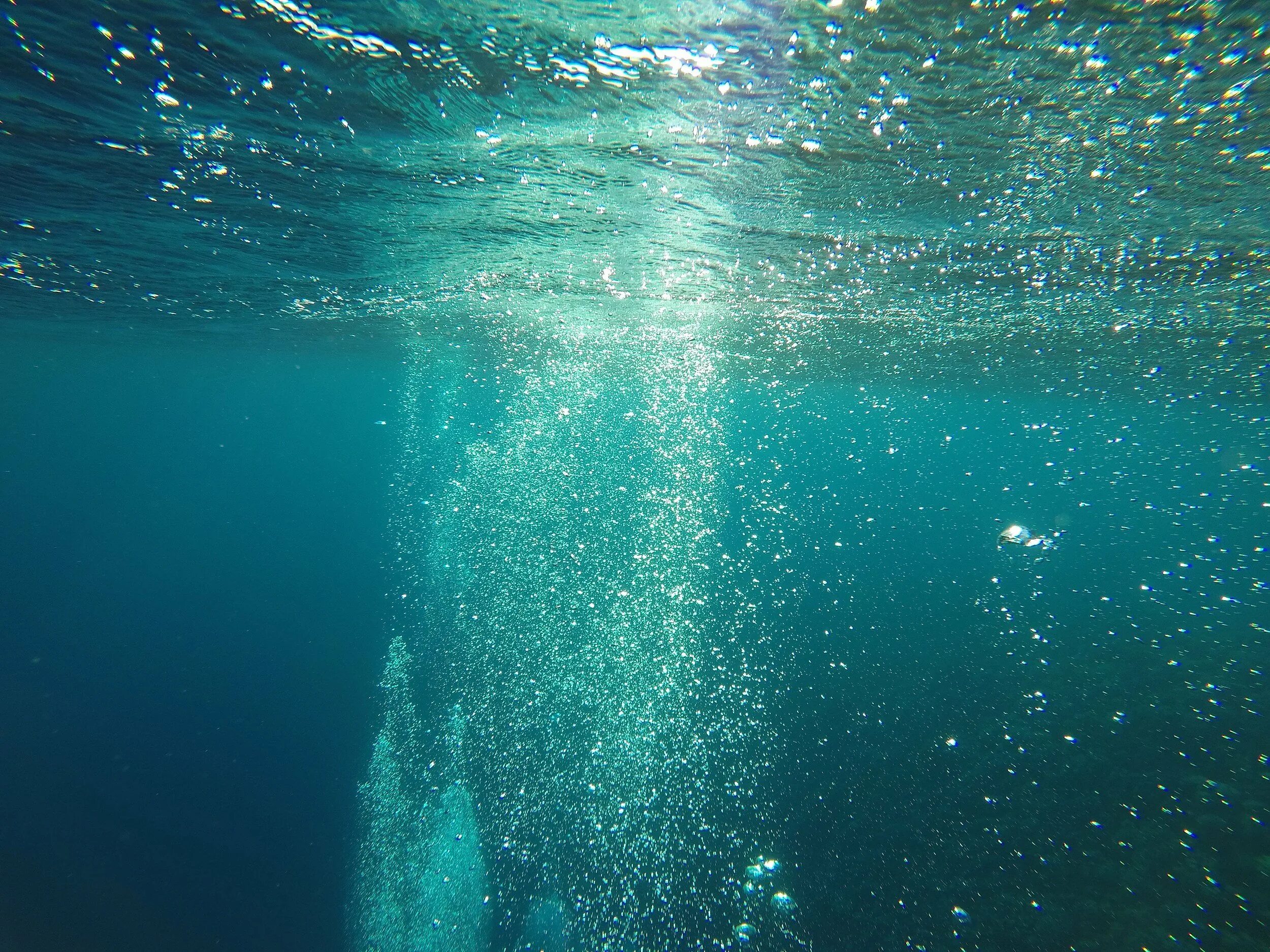 Вода океанов и морей составляет. Дно океана. Под морем. Океан внутри. Под водой.