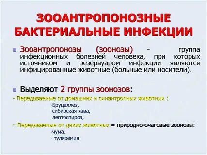 К антропозоонозным инфекциям относятся