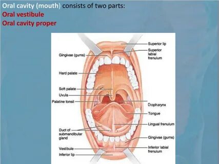 Consists of parts