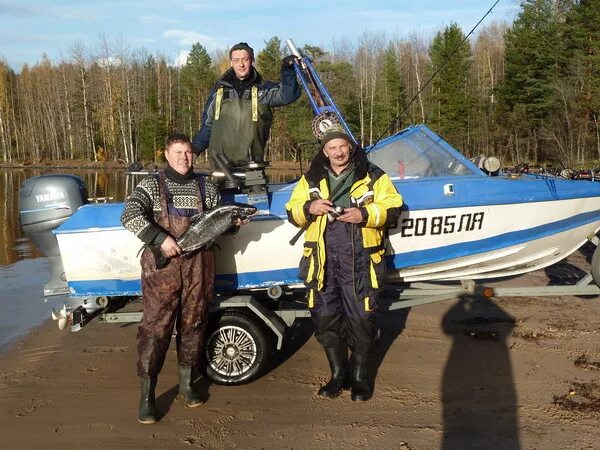 рп5 сегежа на 3. рп5 сегежа на 3. рп5 сегежа. рыба сегежа. осто сегежа.